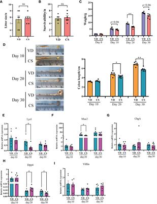 Disrupted metabolic signatures in amniotic fluid associated with increased risk of intestinal inflammation in cesarean section offspring